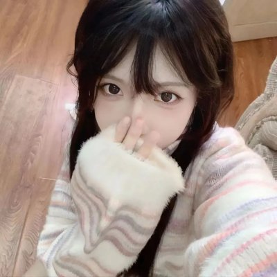 没人瞭波斯猫